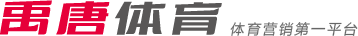 网球公开赛